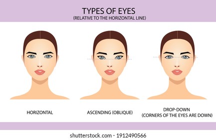 Types of eyes relative to the horizontal line, vector illustration, information for eyelash extension, infographics, wind illustrations