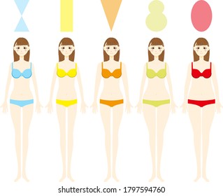 Types of the female figure.vector illustration