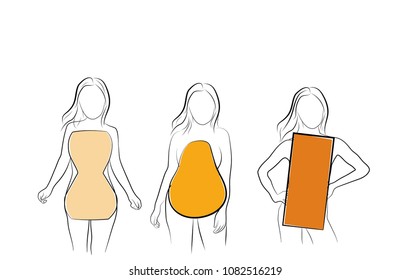 types of figures of women. vector illustration.