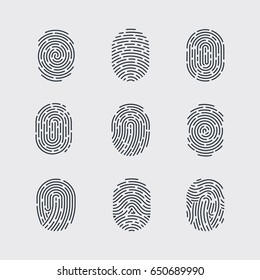 Types of Fingerprint Patterns for Identity Person Security ID on Gray Background for Design