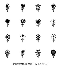 Conjunto de iconos de tipos de flores. Simple flor concepto de símbolo de línea sólida. ilustración vectorial. 