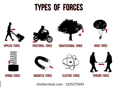 Types of forces chart, vector illustration ( for basic education and Schools )