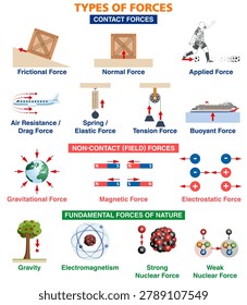 Types of forces in physics infographic poster. Contact, non-contact and fundamental forces of nature educational chart. Vector illustration.