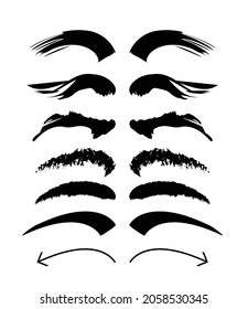 Types and forms of eyebrows, tattoo design, vector