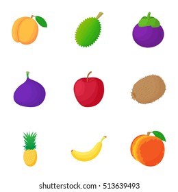 Types of fruit icons set. Cartoon illustration of 9 types of fruit vector icons for web