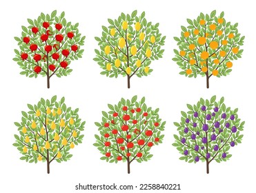 Types of fruit trees. Orchard set. Vector illustration.