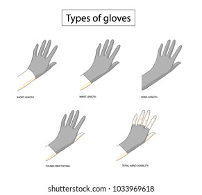 Types of gloves jn a white background.