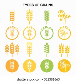 Types of grains, cereals icons - wheat, rye, barley, oats 