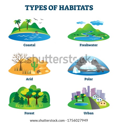 Types of habitats vector illustration. Labeled various species home examples set. Educational collection with coastal, freshwater, arid, polar, forest and urban environments for natural animal life.