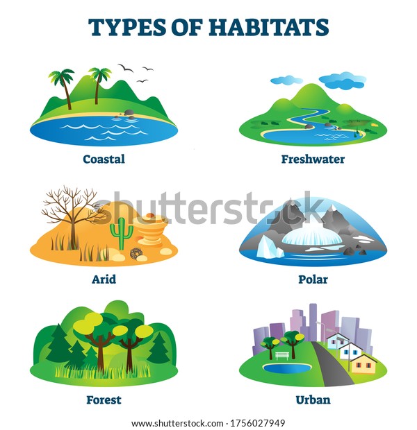 849,918 Habitat Images, Stock Photos & Vectors | Shutterstock