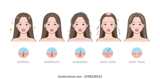 Types of hair problems. Normal, dandruff, damaged, hair loss, and gray hair.