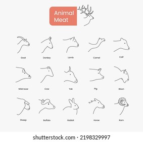 Types of head animal meat, linear icon in vector.