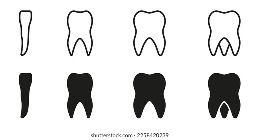 Types of Human Teeth Line and Silhouette Icon Set. Adult Tooth Anatomy. Incisor, Canine, Premolar, Molar Teeth Pictogram. Dental Treatment Sign. Dentistry Symbol. Isolated Vector Illustration.