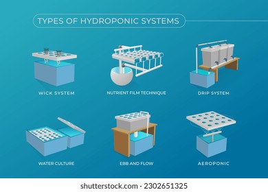 Types of hydroponic systems in 3D vector style