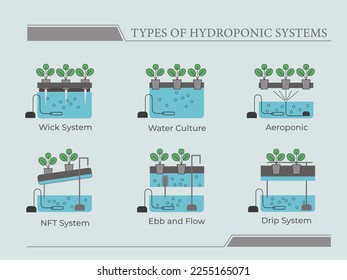 Types of hydroponic systems. Nutrient film technique, deep water culture, aquaponic, aeroponic for urban farming and agriculture 4