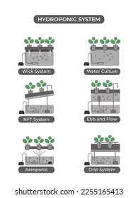 Types of hydroponic systems. Nutrient film technique, deep water culture, aeroponic for smart farming, urban farming and agriculture 4