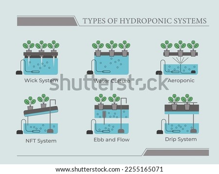 Types of hydroponic systems. Nutrient film technique, deep water culture, aquaponic, aeroponic for urban farming and agriculture 4
