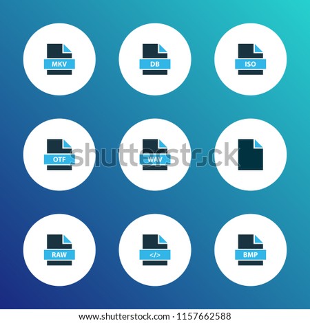 Types icons colored set with file mkv, file bmp, file iso and other multimedia elements. Isolated vector illustration types icons.