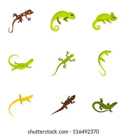 Types of iguana icons set. Flat illustration of 9 types of iguana vector icons for web