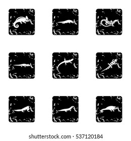 Types of iguana icons set. Grunge illustration of 9 types of iguana vector icons for web