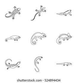 Types of iguana icons set. Outline illustration of 9 types of iguana vector icons for web