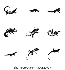 Types of iguana icons set. Simple illustration of 9 types of iguana vector icons for web