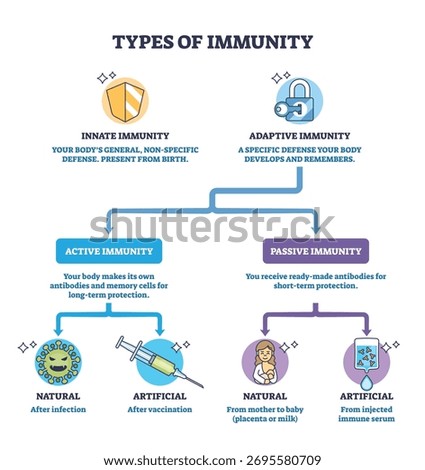 Types of immunity brief diagram comparing innate and adaptive pathways into active and passive, shield, lock, syringe highlight defenses and vaccination concept. Outline diagram