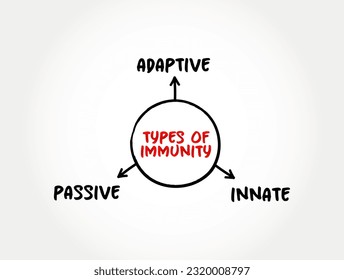 Types of immunity mind map text concept for presentations and reports