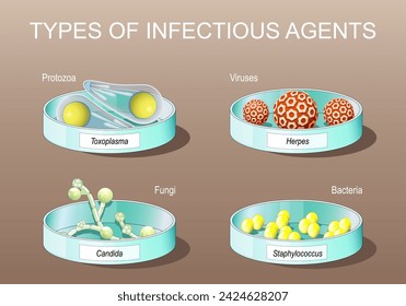 Types of infectious agents. pathogens. Parasitic protozoan. Viruses, bacteria, fungi and unicellular organism. Petri dishes with Candida albicans, herpes viruses, staphylococcus, and toxoplasma