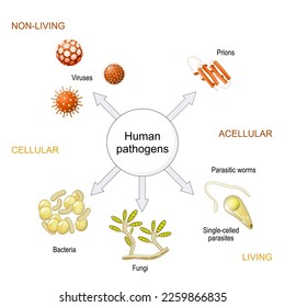 types of infectious agents from prions and viruses, to bacteria, fungi, worms, single-celled and unicellular organisms. detailed diagram about Acellular and Cellular, Non-living and Living pathogens