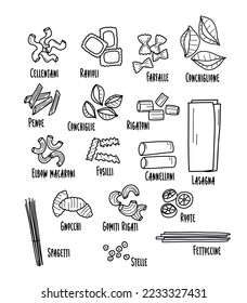 Types of Italian pasta. Pasta illustration in doodle style.

