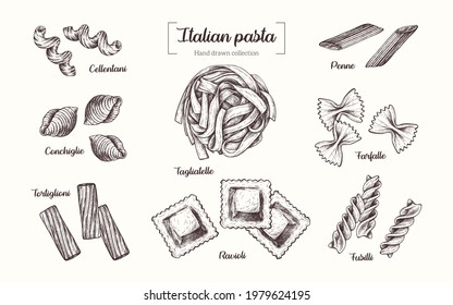 Types of Italian pasta. Vector hand drawn illustration in vintage engraved style. Isolated on white background.
