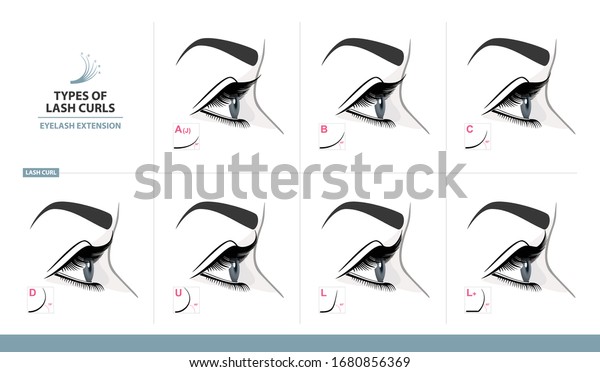 Types Lash Curls Eyelash Extension Most Stock Vector (Royalty Free ...