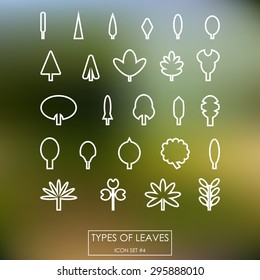 Types of leaves. A collection of silhouettes of leaves , which are suitable for eco companies and any projects connected with nature.