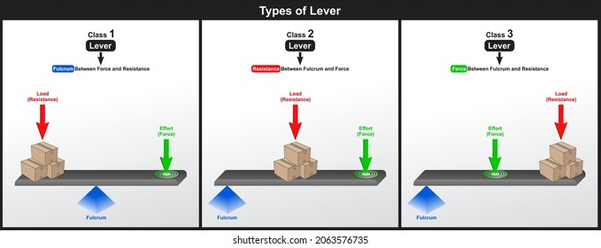 Tipos de diagrama educativo de la Paleta, incluidas las tres clases que muestran la relación entre el fulcro y la resistencia como carga y fuerza como un esfuerzo que muestra sus posiciones para la educación física científica