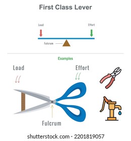 Tipos de diagrama educativo de la Paleta, incluida la palanca de primera clase que muestra la relación entre el fulcro y la resistencia como carga y fuerza como esfuerzo que muestra sus posiciones. Tipos de palanca con ejemplos