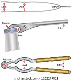 types of levers
