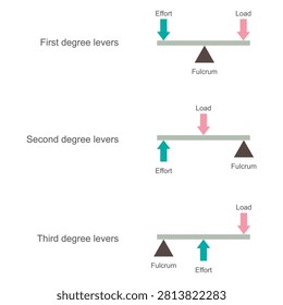 Types of Levers Diagram Showing First, Second, and Third Class Levers with Effort, Load, and Fulcrum Positions