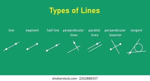 Types of lines. Line,segment, half line, perpendicular lines, parallel lines, perpendicular bisector and tangent. Vector illustration isolated on chalkboard.