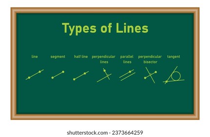 Types of lines. Line,segment, half line, perpendicular lines, parallel lines, perpendicular bisector and tangent. Vector illustration isolated on chalkboard.