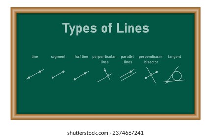 Arten von Linien. Linie, Segment, Halblinie, senkrechte Linien, parallele Linien, rechtwinkliger Kissen und Tangente. Vektorgrafik einzeln auf der Tafel.