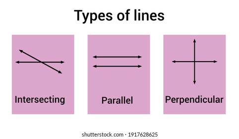 Types Lines Parallel Perpendicular Intersecting Stock Vector (Royalty ...