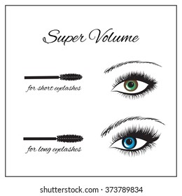 types of mascara brushes and makeup classification