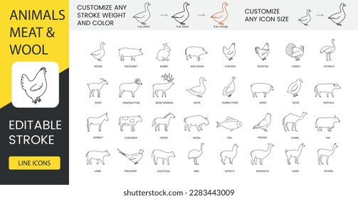 Types of meat and animals that give wool, set of line icons in vector, goose and pig, porkt and rabbit, wild boar and chicken, rooster and turkey, goat and ram, mutton and duck. Editable stroke.