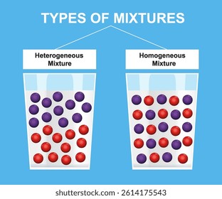 Types of mixtures. Heterogeneous mixture and Homogeneous mixture. Science education vector illustration