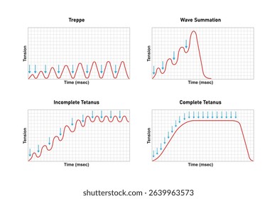 Types of Muscle Response Science Design. Vector Illustration.	