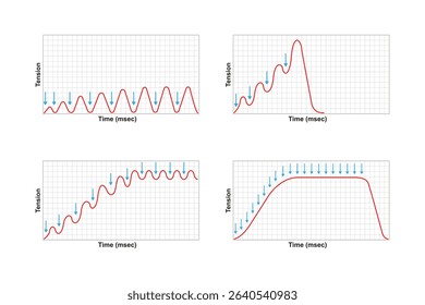 Types of Muscle Response Science Design. Vector Illustration.	