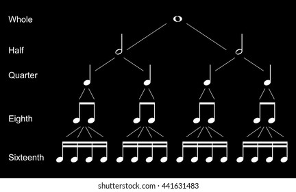 Types of musical  notes