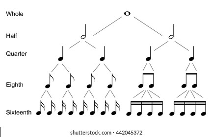 Types of musical  notes