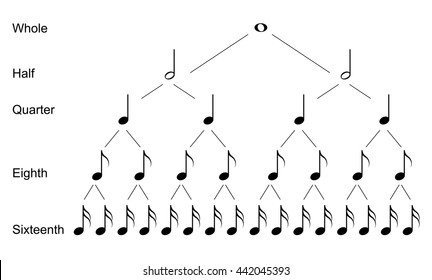 Types Musical Notes Stock Vector (Royalty Free) 442045393 | Shutterstock